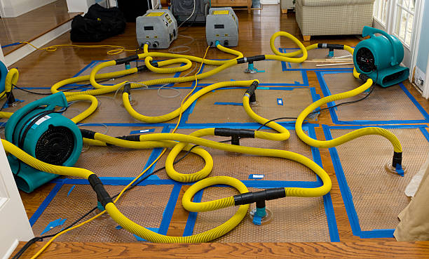Professional Burst Pipe Water Damage technician working in Martinez, CA